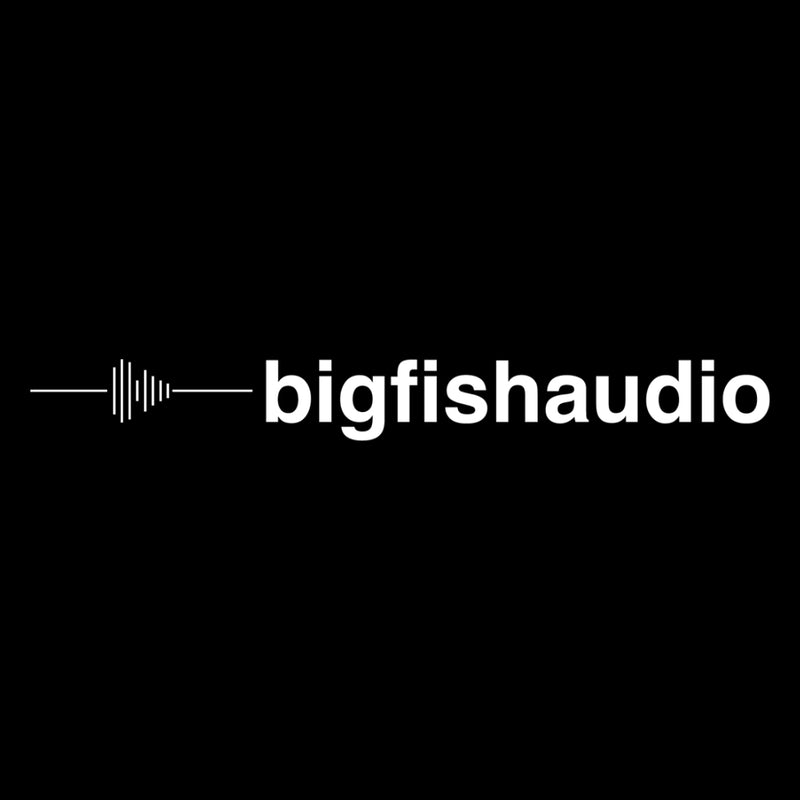 Datacode teams up with industry powerhouse Big Fish Audio!
