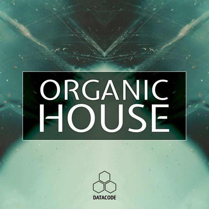 FOCUS: Organic House